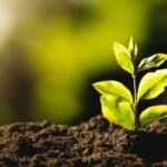 web about sustainability 2 1200x630