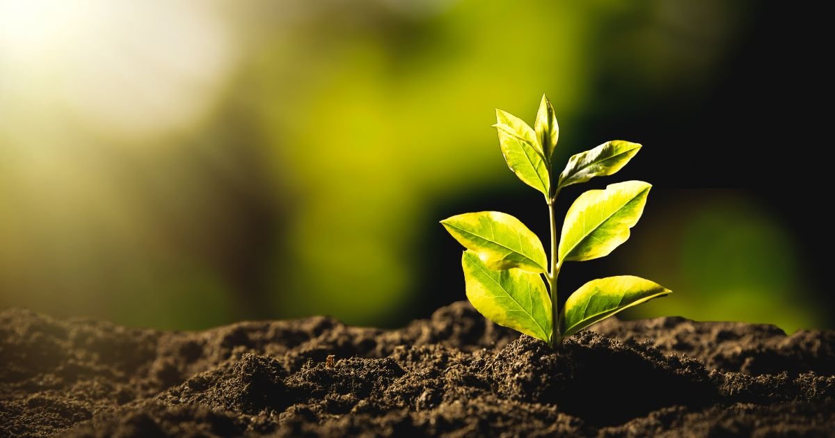 web about sustainability 2 1200x630